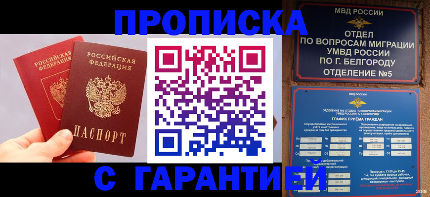 прописка 2025 в Новодвинске